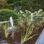 't Groene Plan