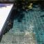 Biopool
