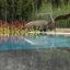 Swimtec