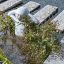 Biopools Degroote Koen