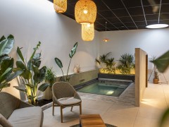 DCPools  Een tropische oase
