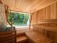 Alpha Wellness Sensations Private sauna, Vevey