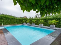 Vert et bois
