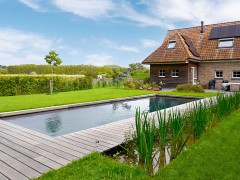Hoveniersgebroeders Strak Biotop zwembad met geïntegreerde plantenfilter
