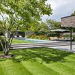De juiste flow Tussen zwembadbouwer en tuinarchitect